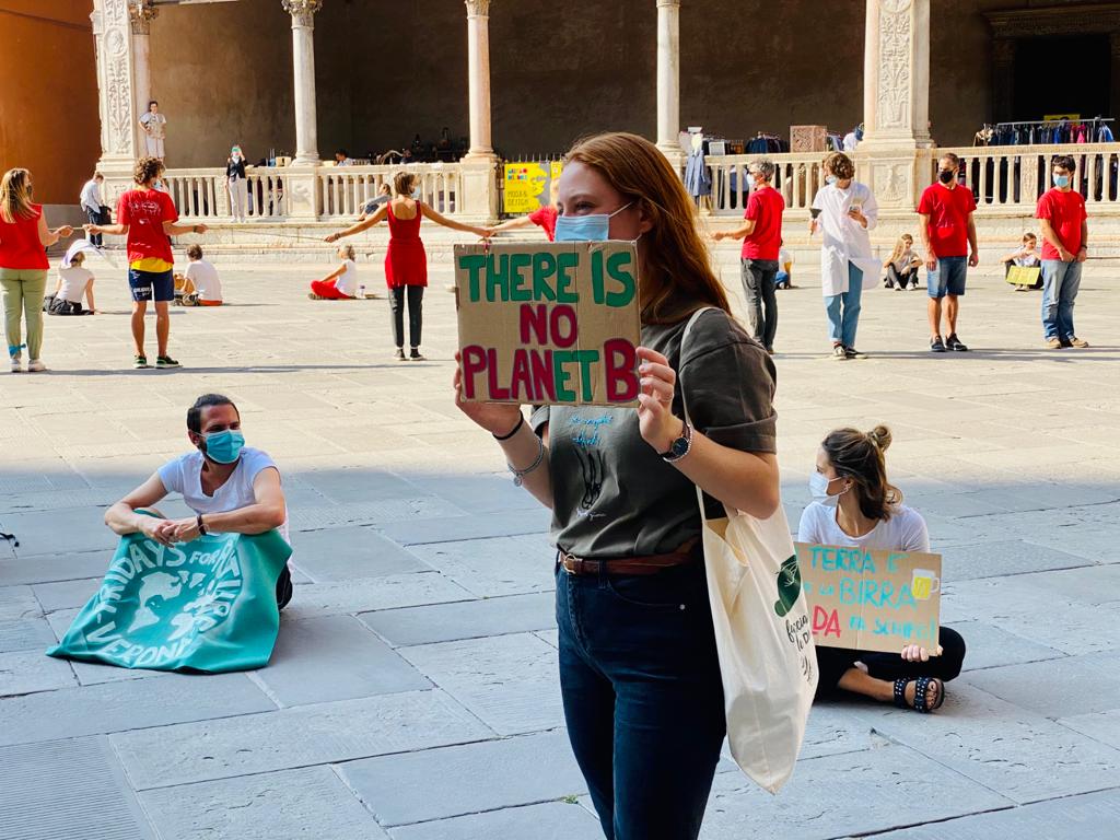 Fridays For Future Verona