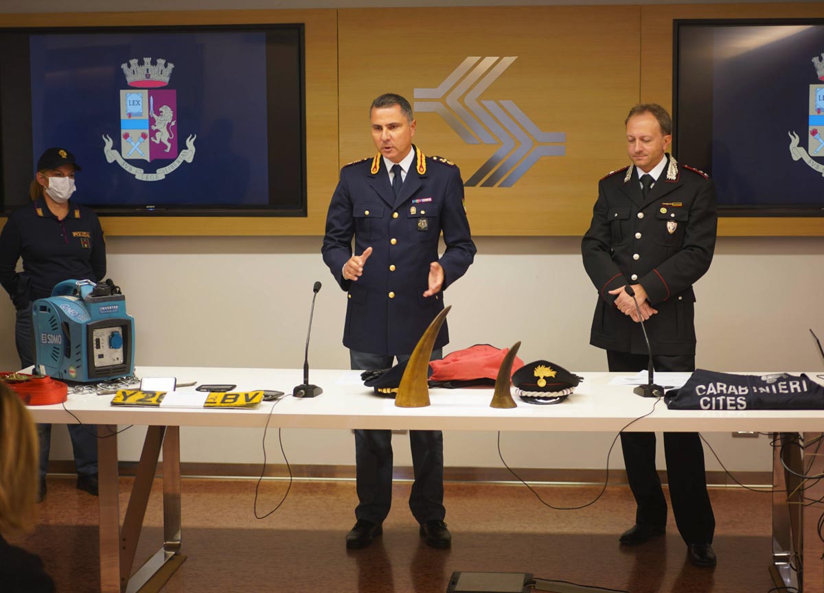 Corni di rinoceronte ritrovati al Catullo