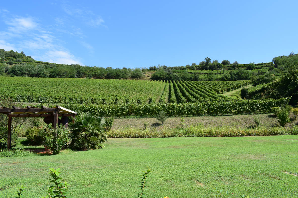 Vigneti Giannitessari Val d'Alpone Unesco
