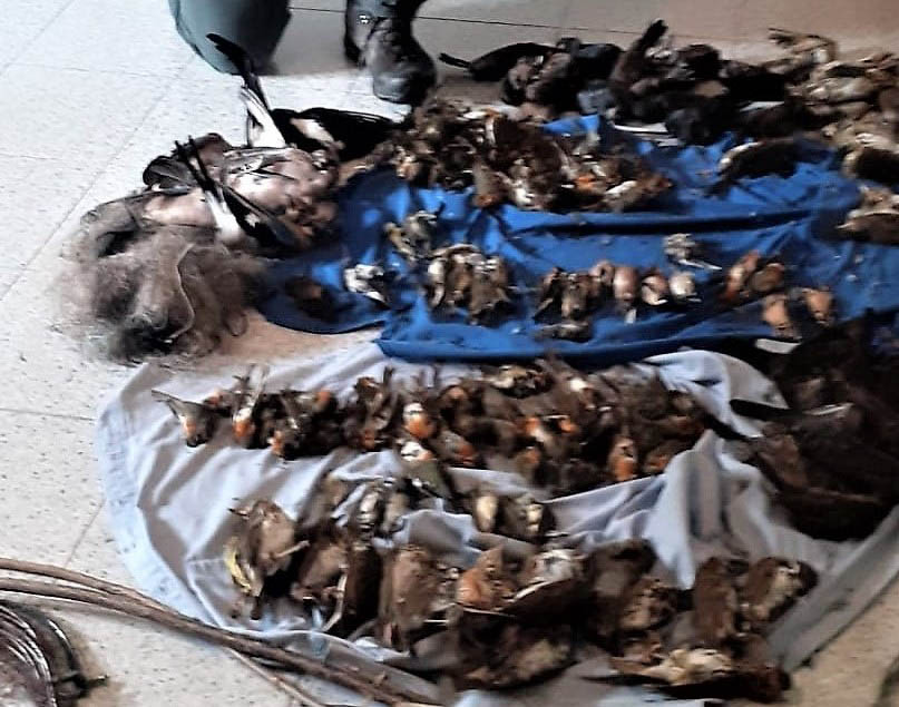 sequestro bracconiere Vestenanova altissimo