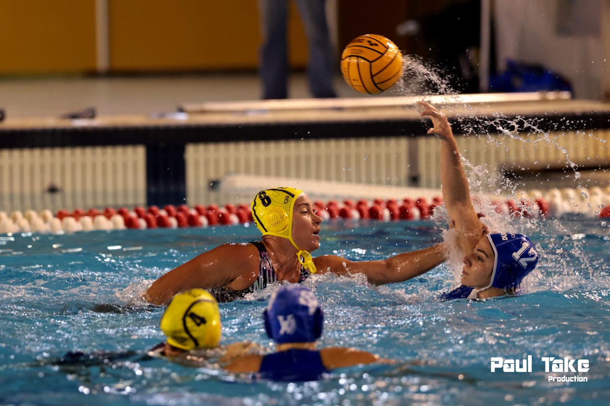 VetroCar Css Verona - Bianconi (Paul Take foto)