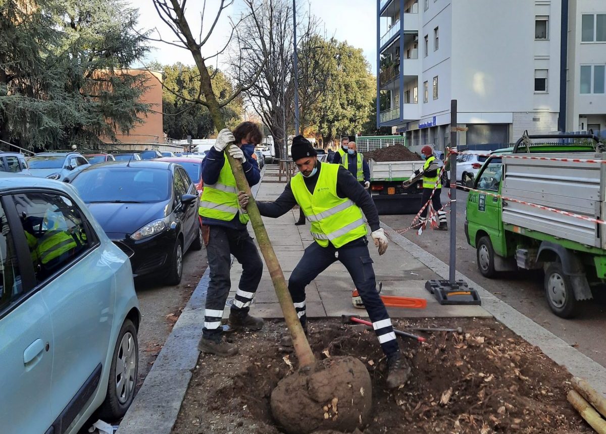 alberi Via Todeschini