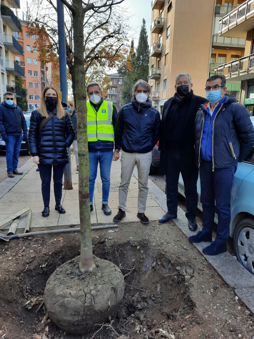 alberi Via Todeschini