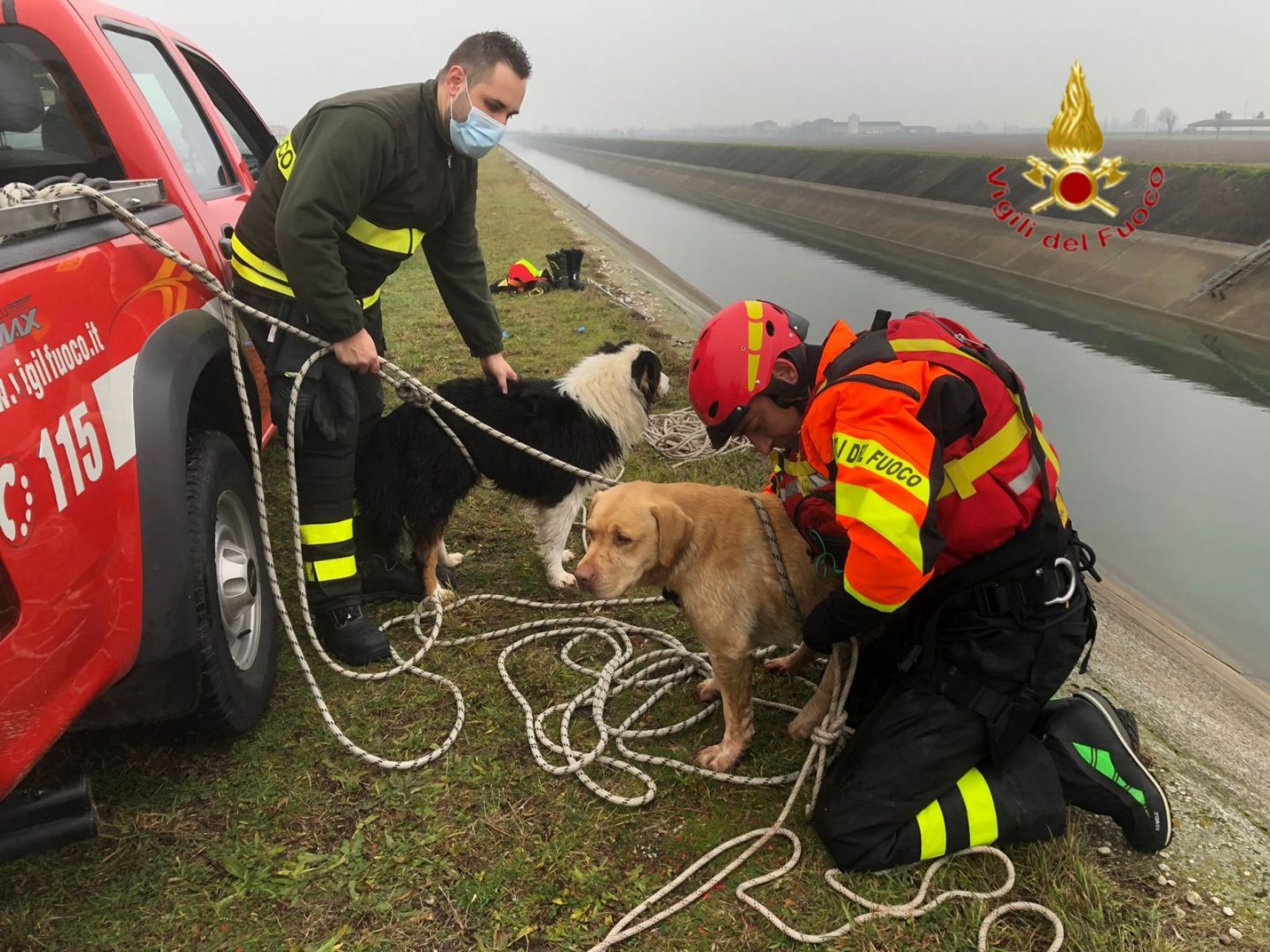 vigili del fuoco cani salvataggio