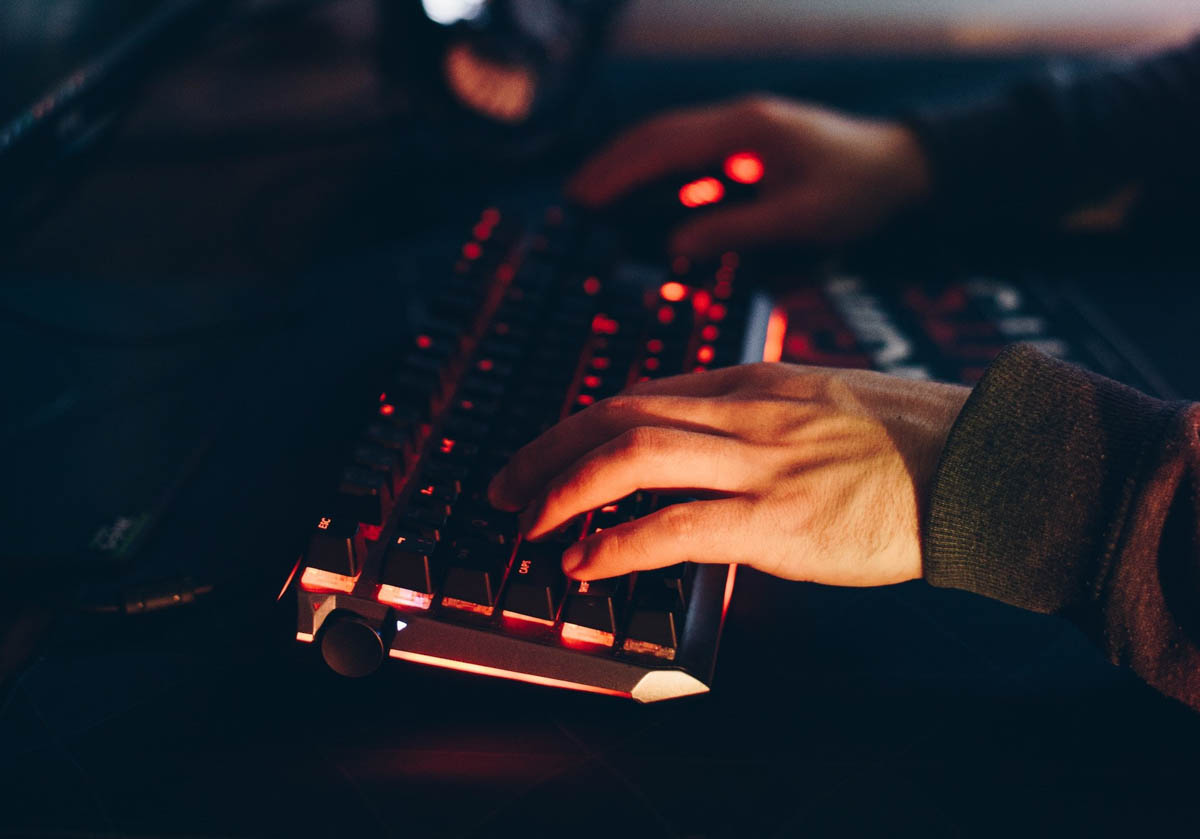 internet web computer educazione digitale minerbe