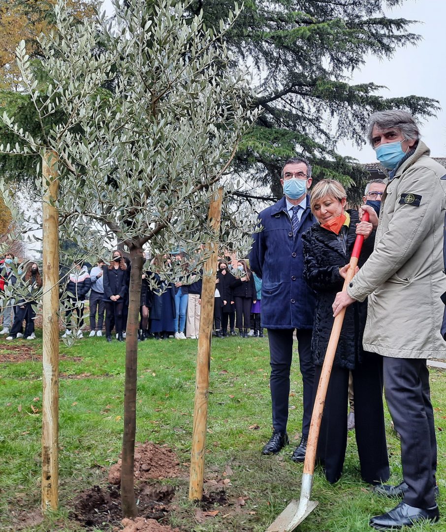 olivo fiammetta borsellino