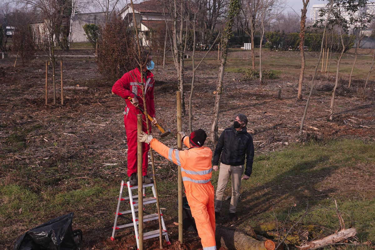 Riforestazione urbana Verona strada Le Grazie
