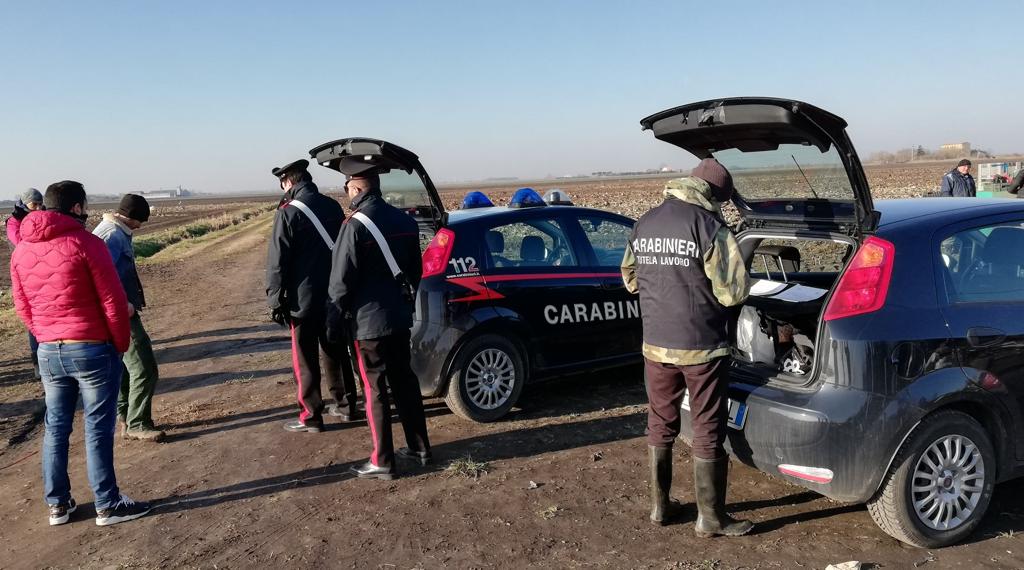 Carabinieri caporalato cologna veneta