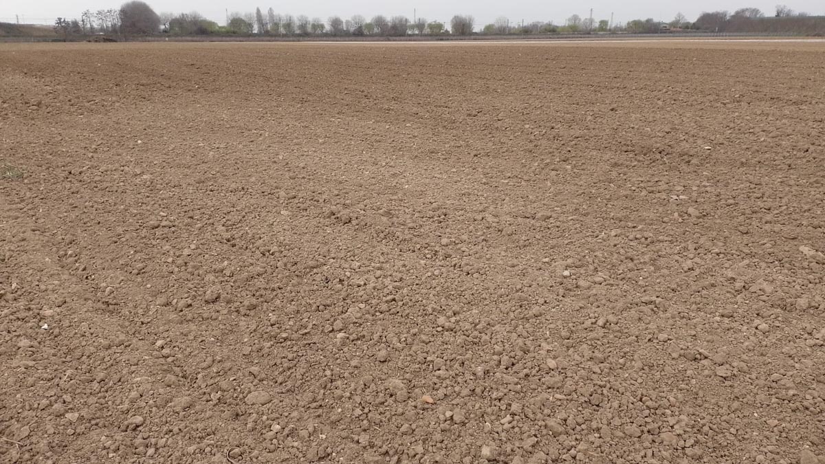 siccità coldiretti verona. Campo arido nella zona di Gazzo Veronese