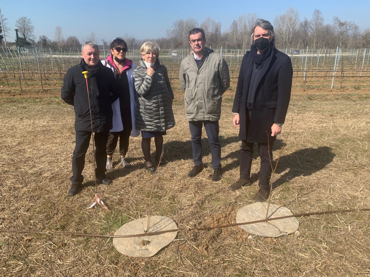 sboarina piante bosco buri