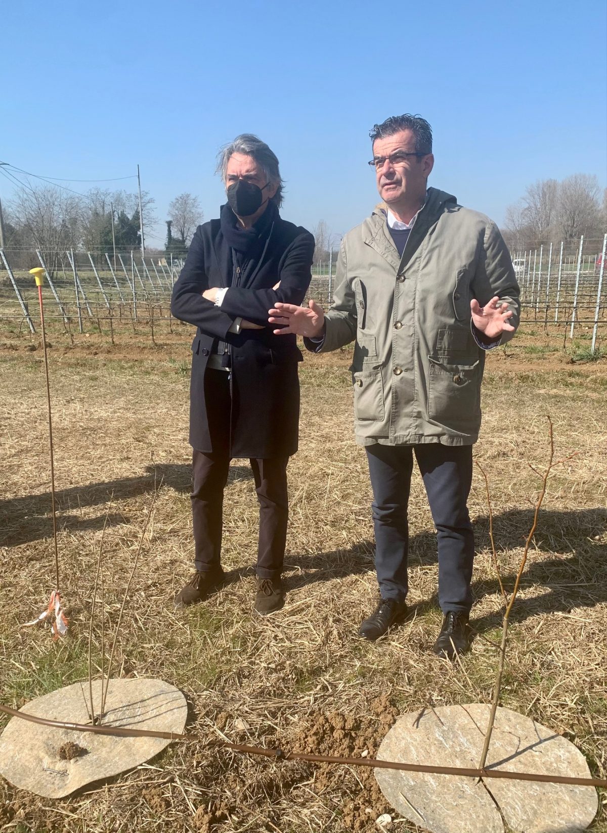 sboarina piante bosco buri