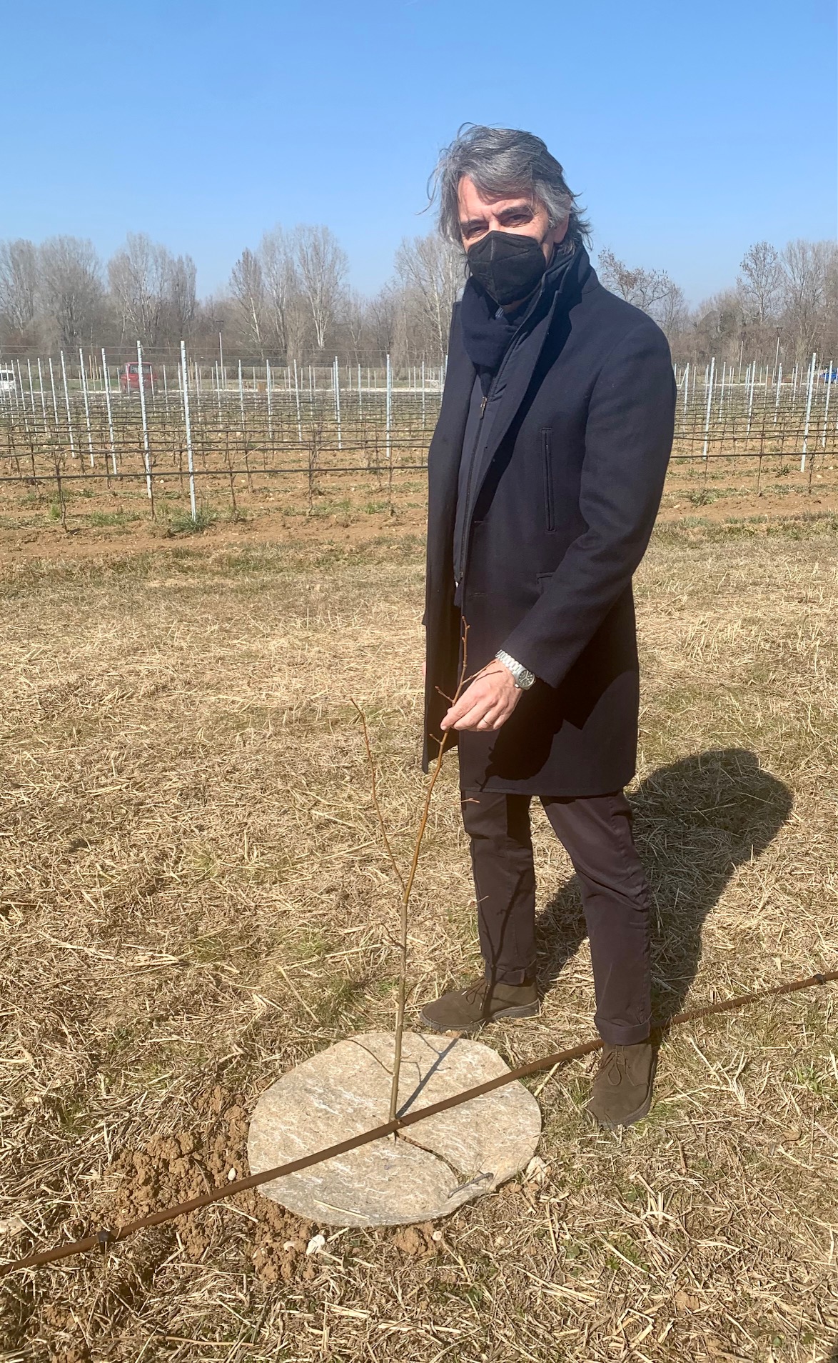 sboarina piante bosco buri