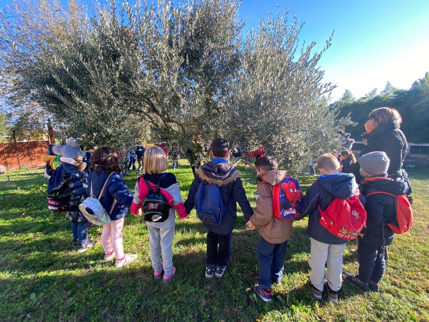 Progetto Semi'nsegni Verona Coldiretti scuole veronesi educazione alimentare