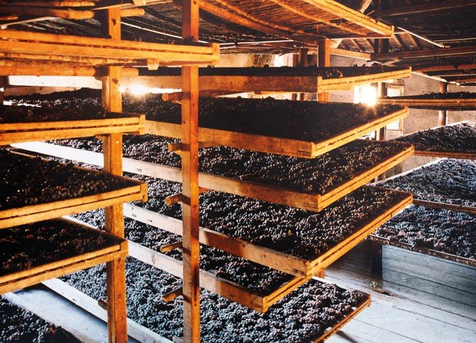 Appassimento uve Negrar Unesco