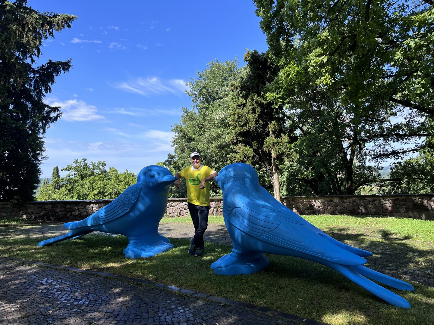 Parco Giardino Sigurtà Oca Selvatica Cracking Art Cosa fare a Verona