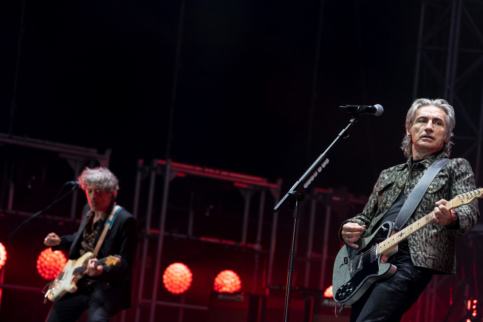 Luciano Ligabue Verona