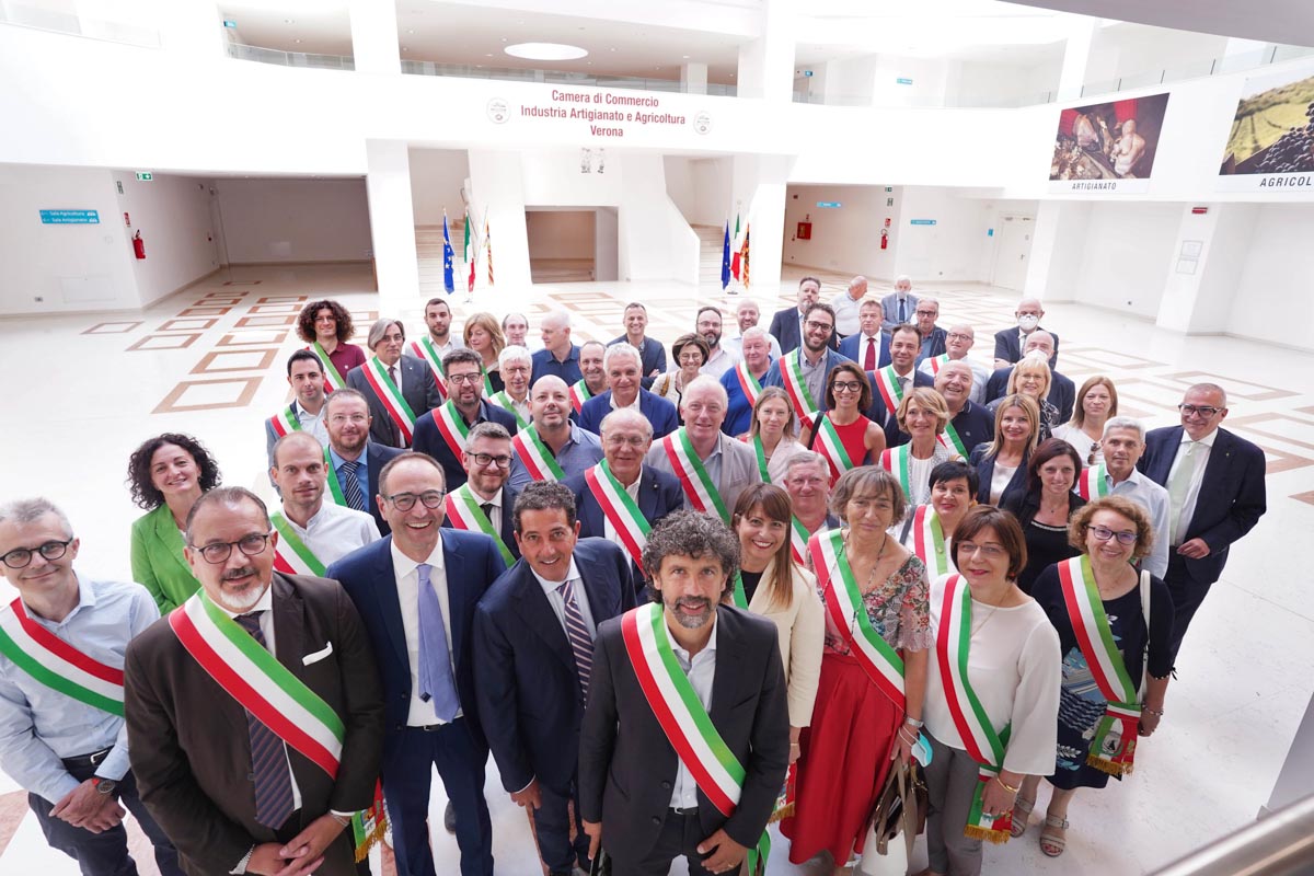 Dvg Foundation camera di commercio