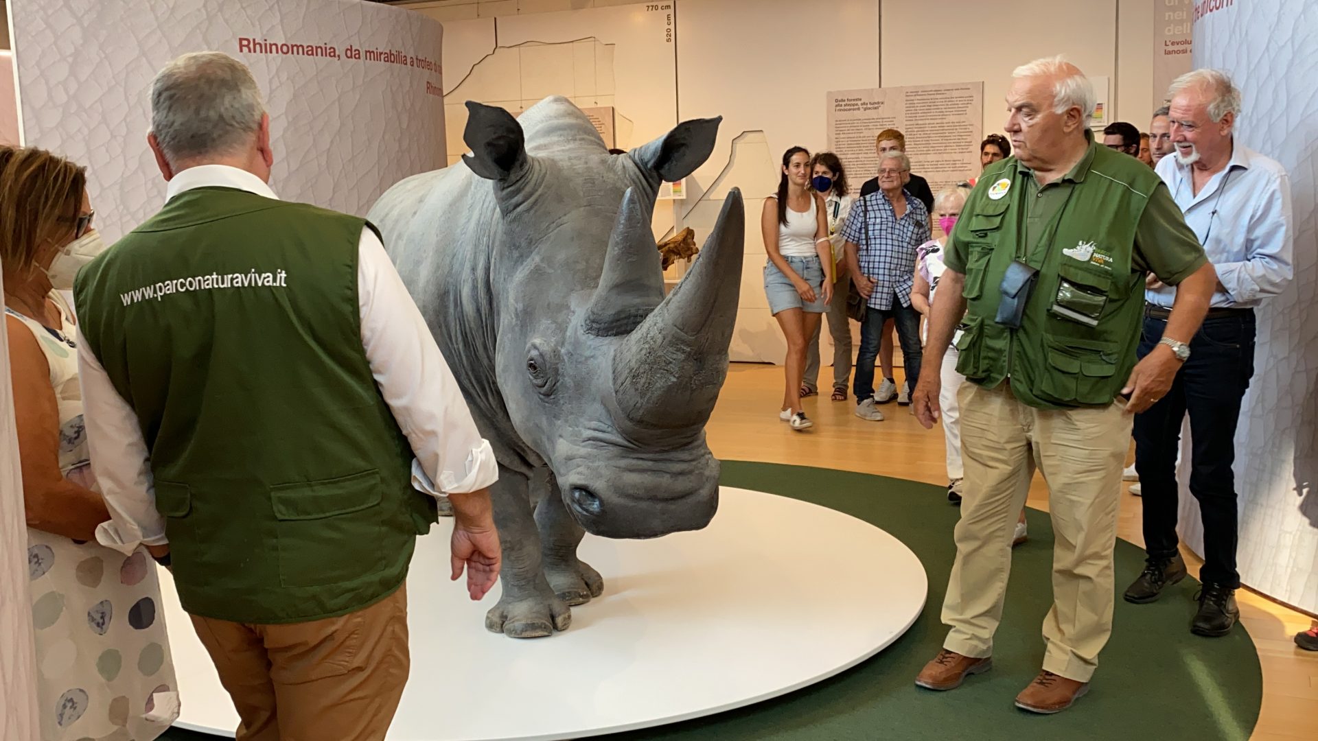 rinoceronte bianco Toby al MUSE