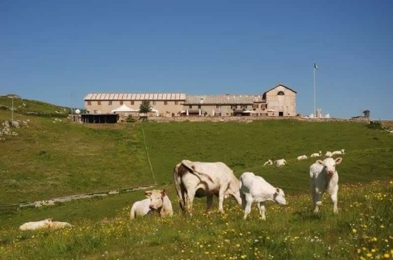Festa Podestaria Malga Podestaria