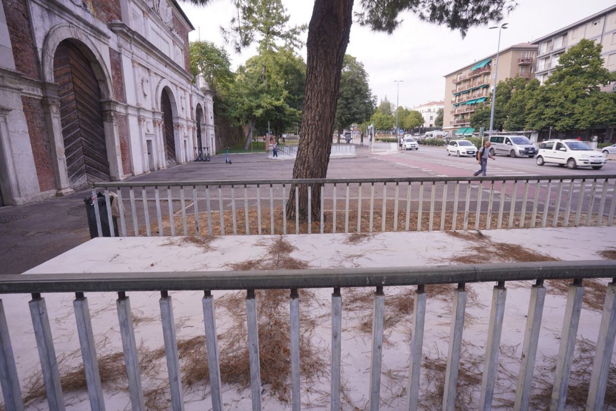 Sottopasso Porta Vescovo lastra di marmo