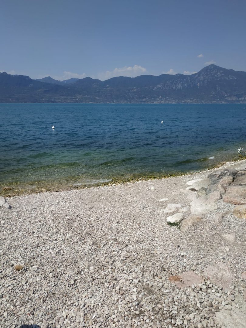 alghe peschiera lago di Garda