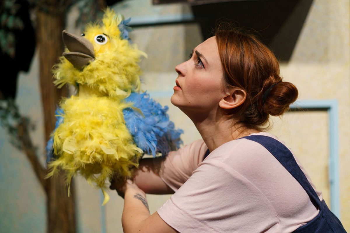 Cipì Castelnuovo del Garda Fondazione Aida