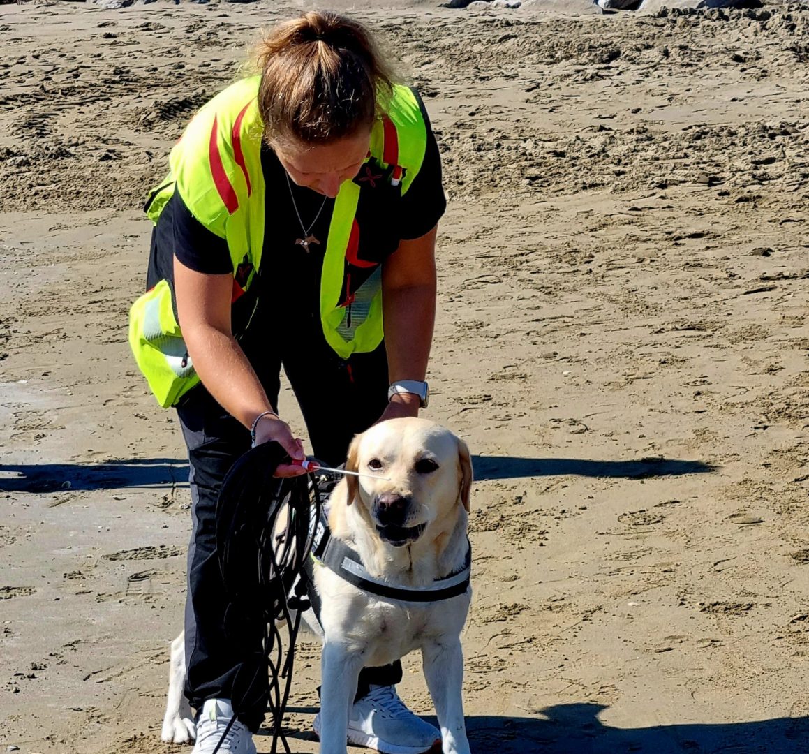 addestramento cani ricerca persone scomparse