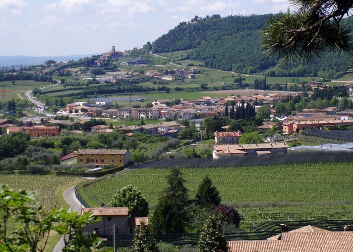 Affi famiglie in difficoltà