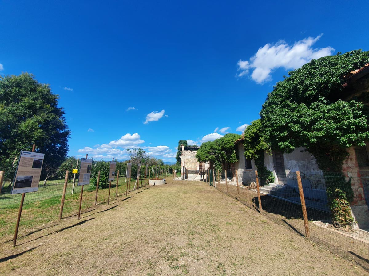 Lager Montorio visite