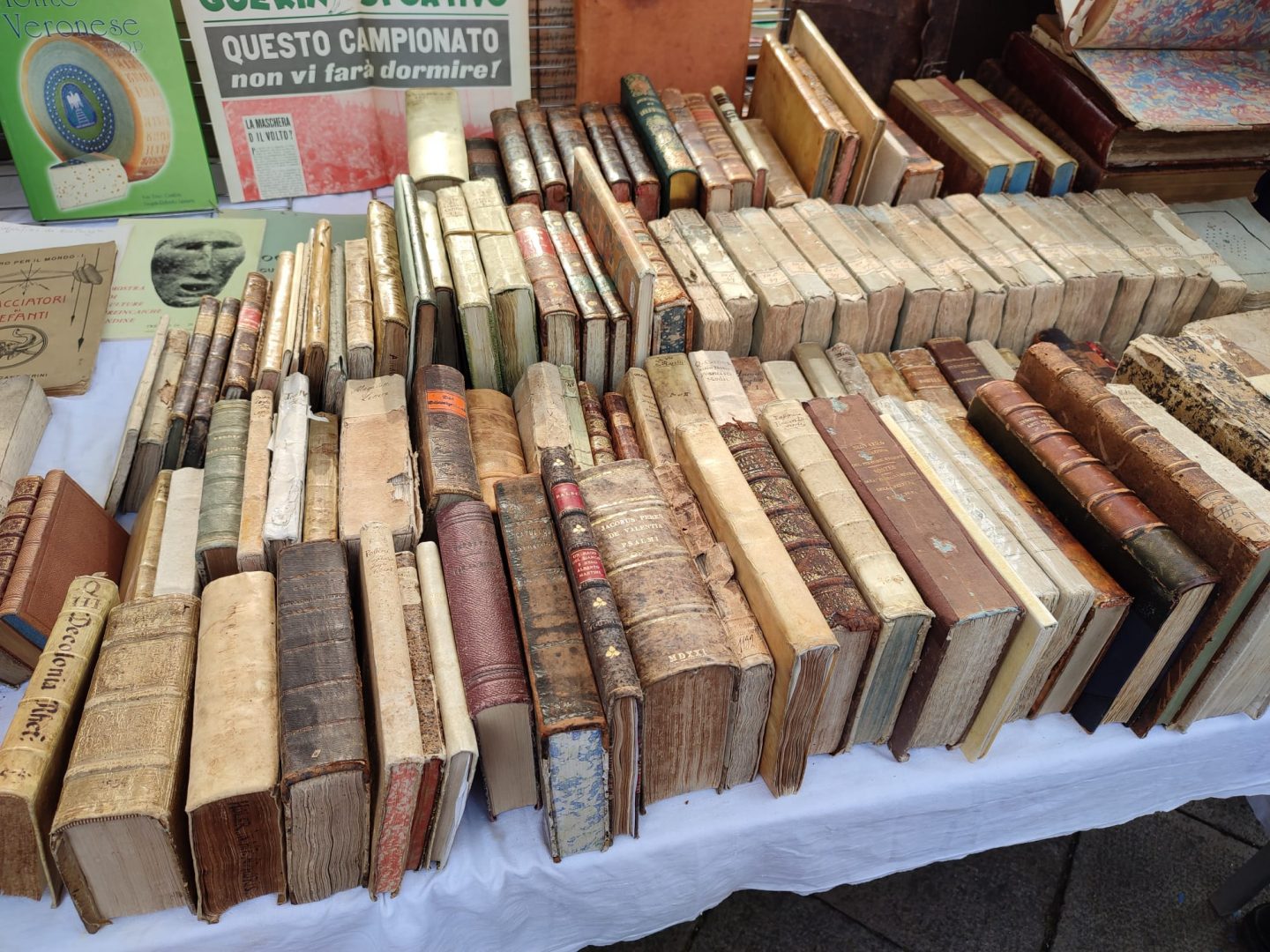 Verona Antiquaria autunno