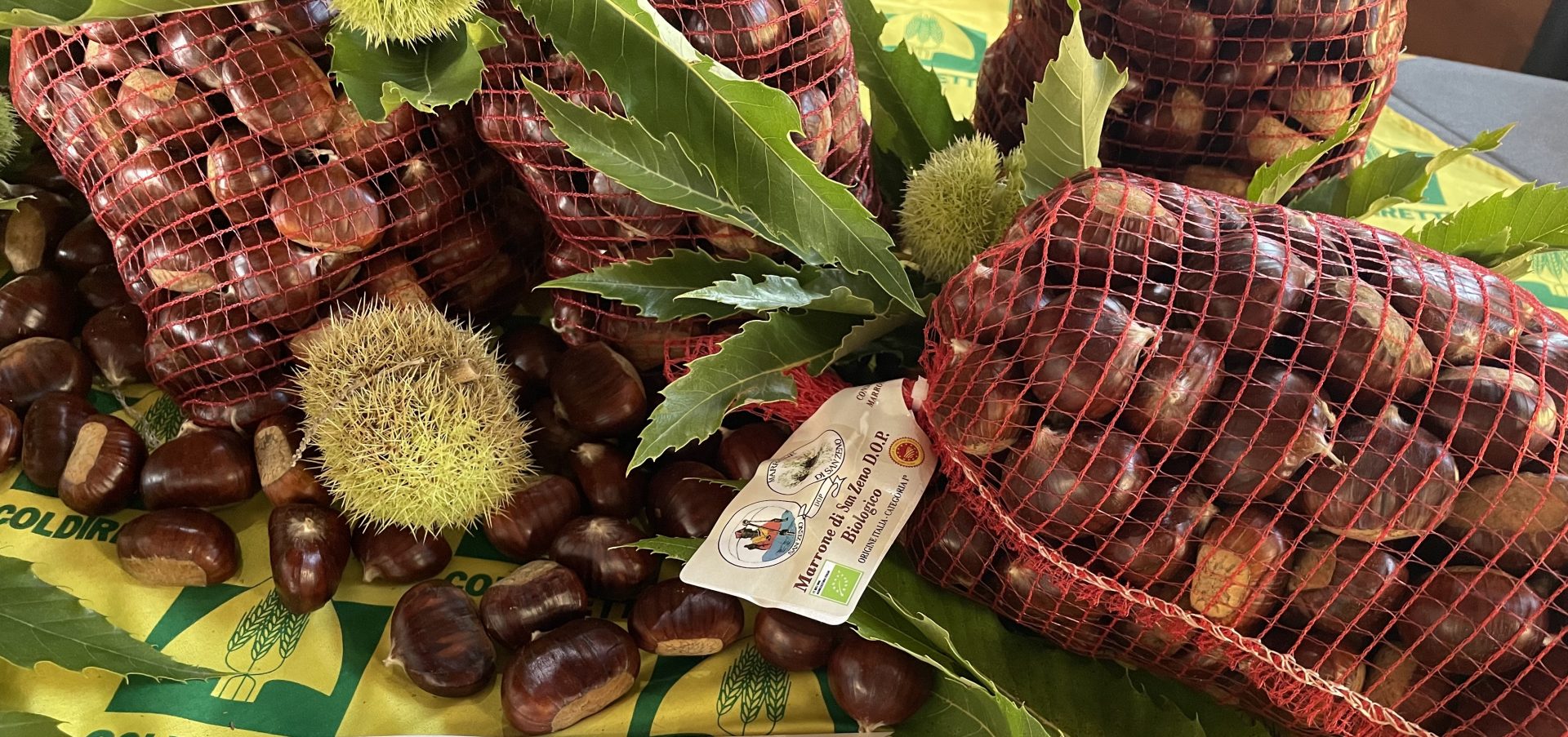 Marrone DOP San Zeno di Montagna