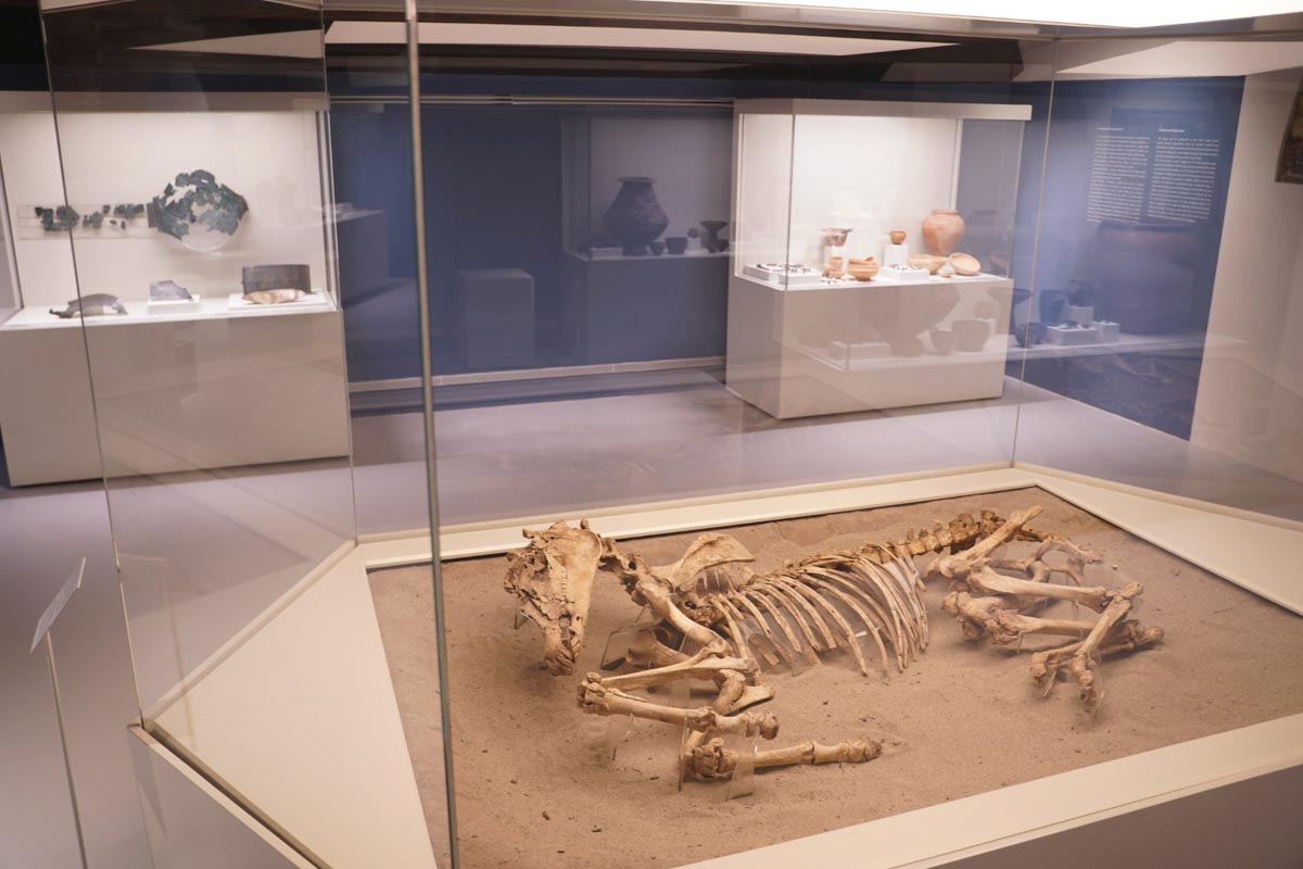 Museo archeologico nazionale di Verona