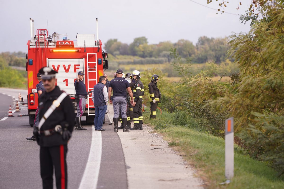 Sofia Mancini Francesco D'Aversa