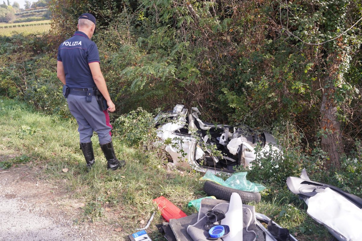 Sofia Mancini Francesco D'Aversa