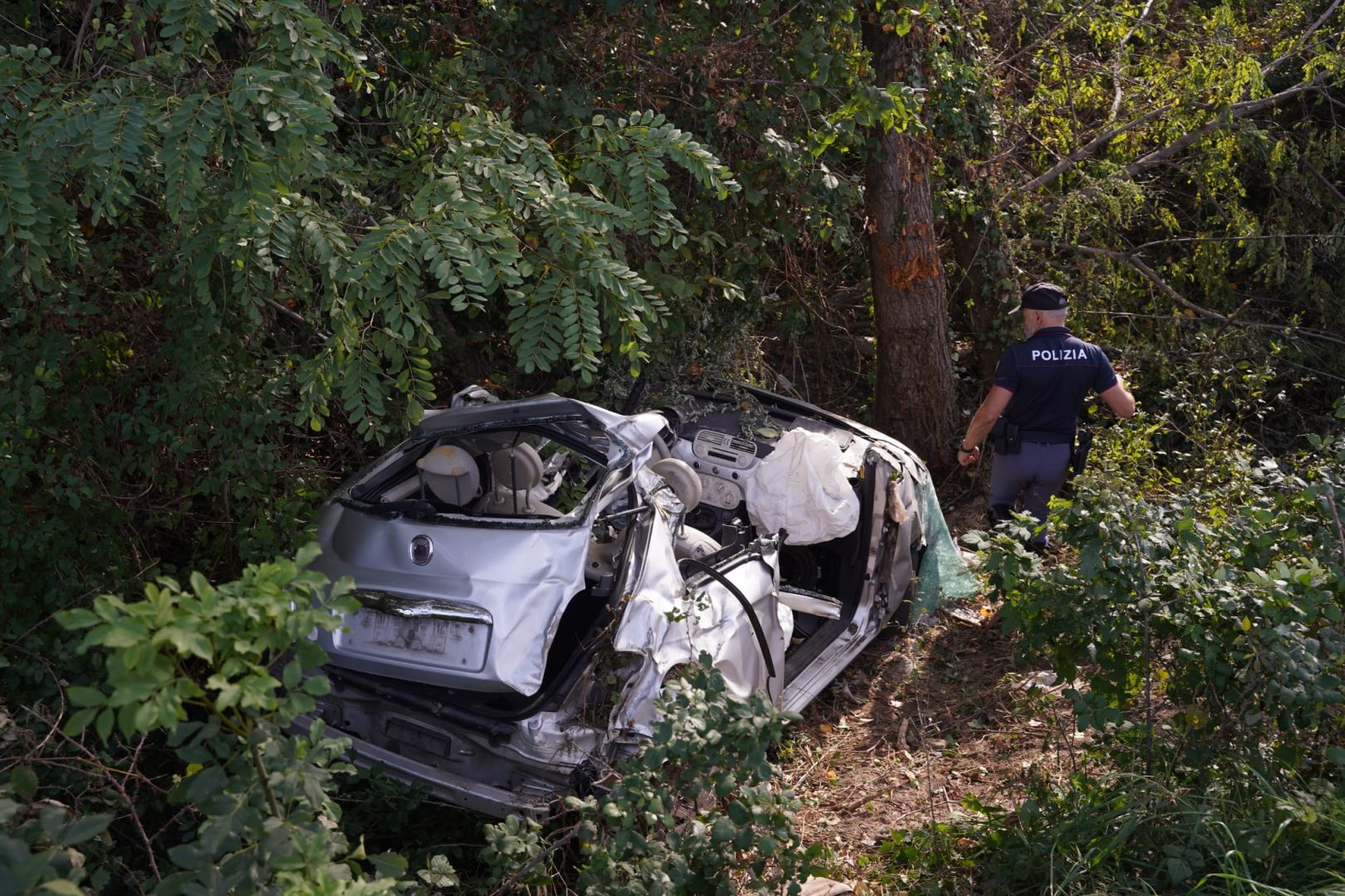 Sofia Mancini Francesco D'Aversa