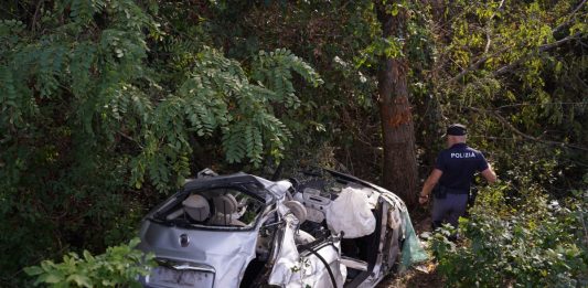 Sofia Mancini Francesco D'Aversa