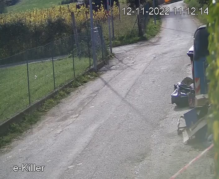 Furbetti dei rifiuti Bardolino