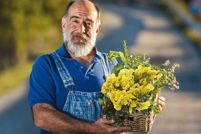 Chef Giorgione Aquardens