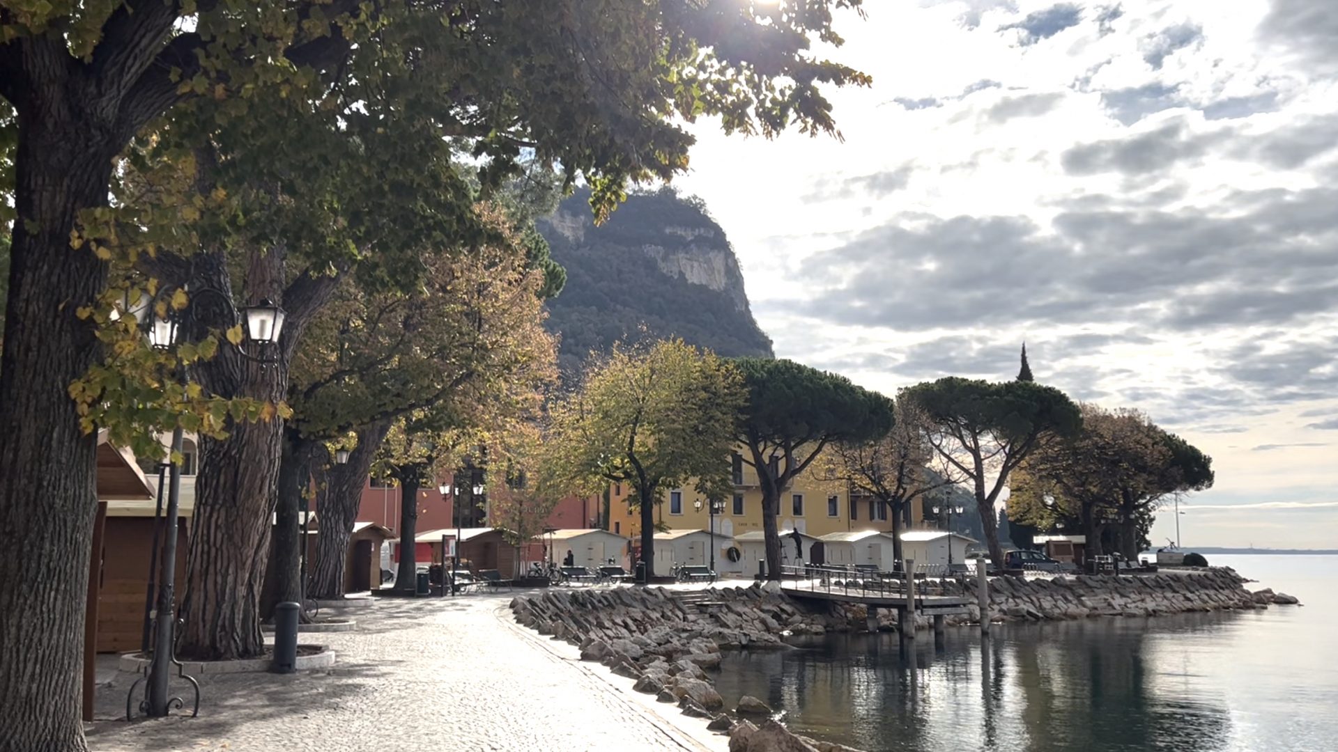 Pini marittimi garda