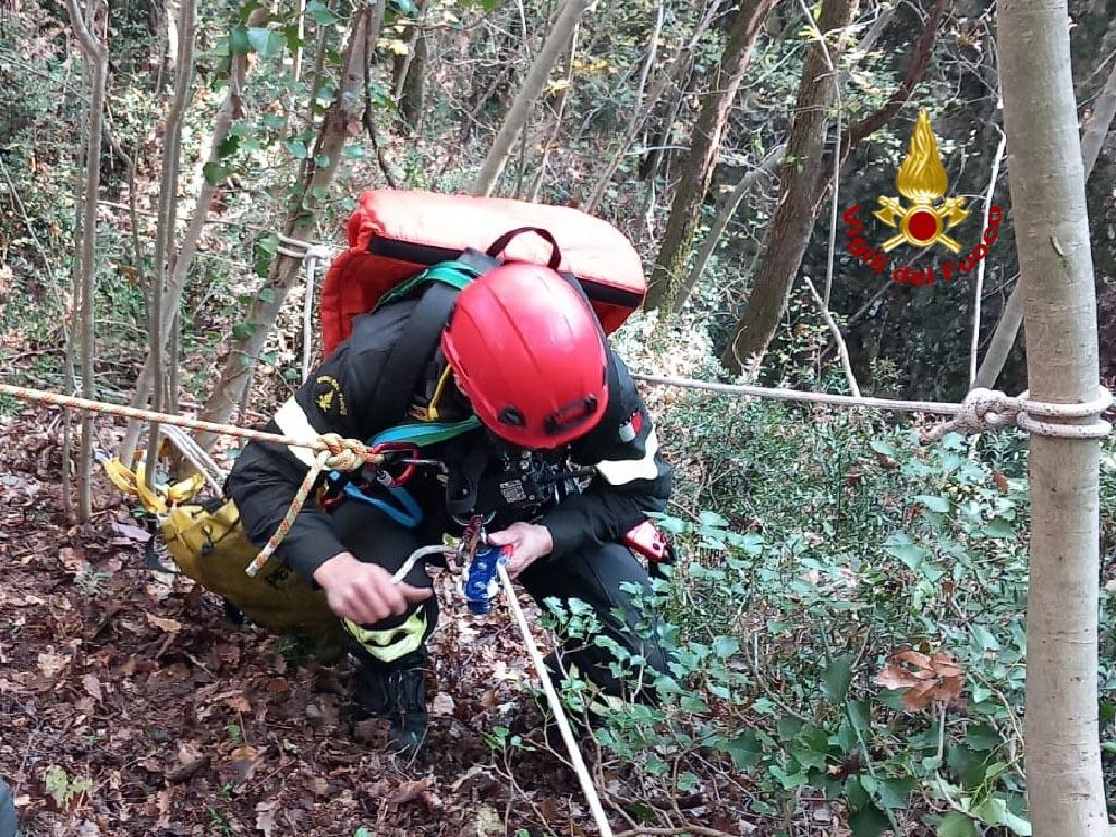 Vigili del fuoco - Verona cane dirupo