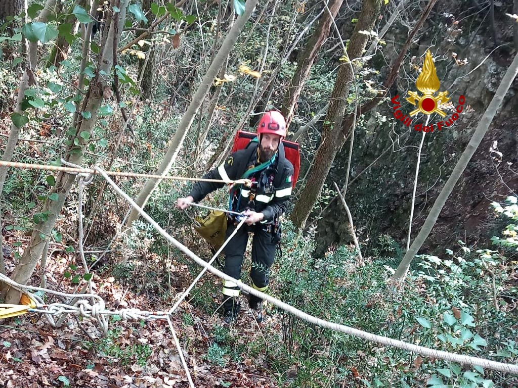 Vigili del fuoco - Verona cane dirupo
