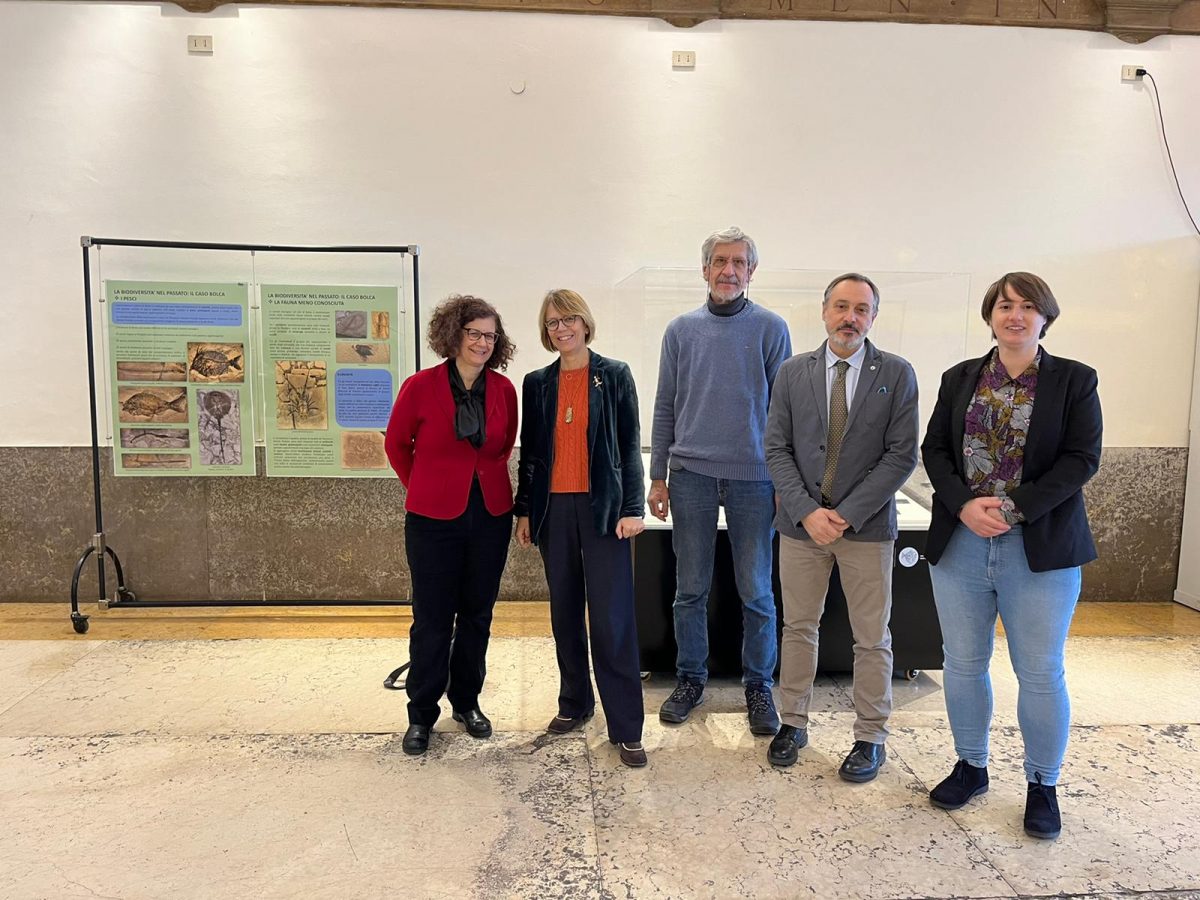 Bolca Museo Storia Naturale Verona