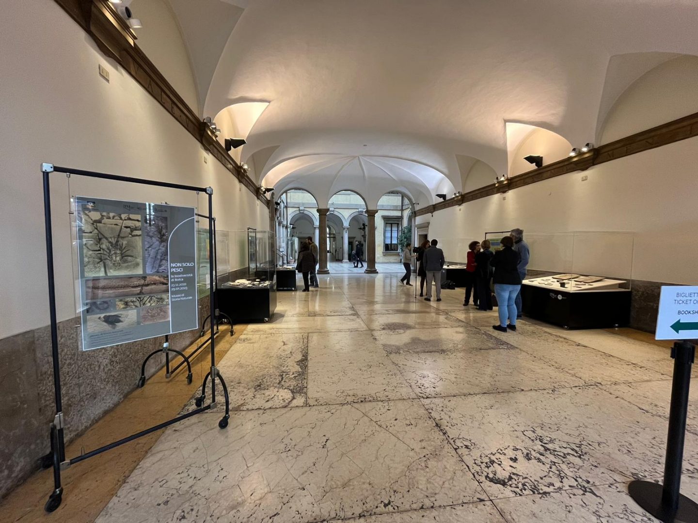 Bolca Museo Storia Naturale Verona