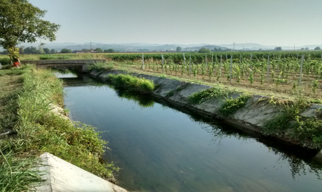 Consorzio Alta Pianura Veneta 