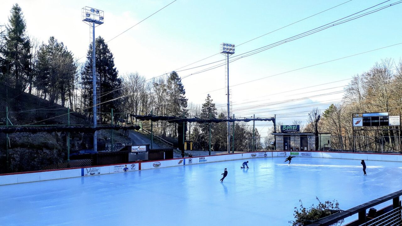 Palaghiaccio bosco chiesanuova