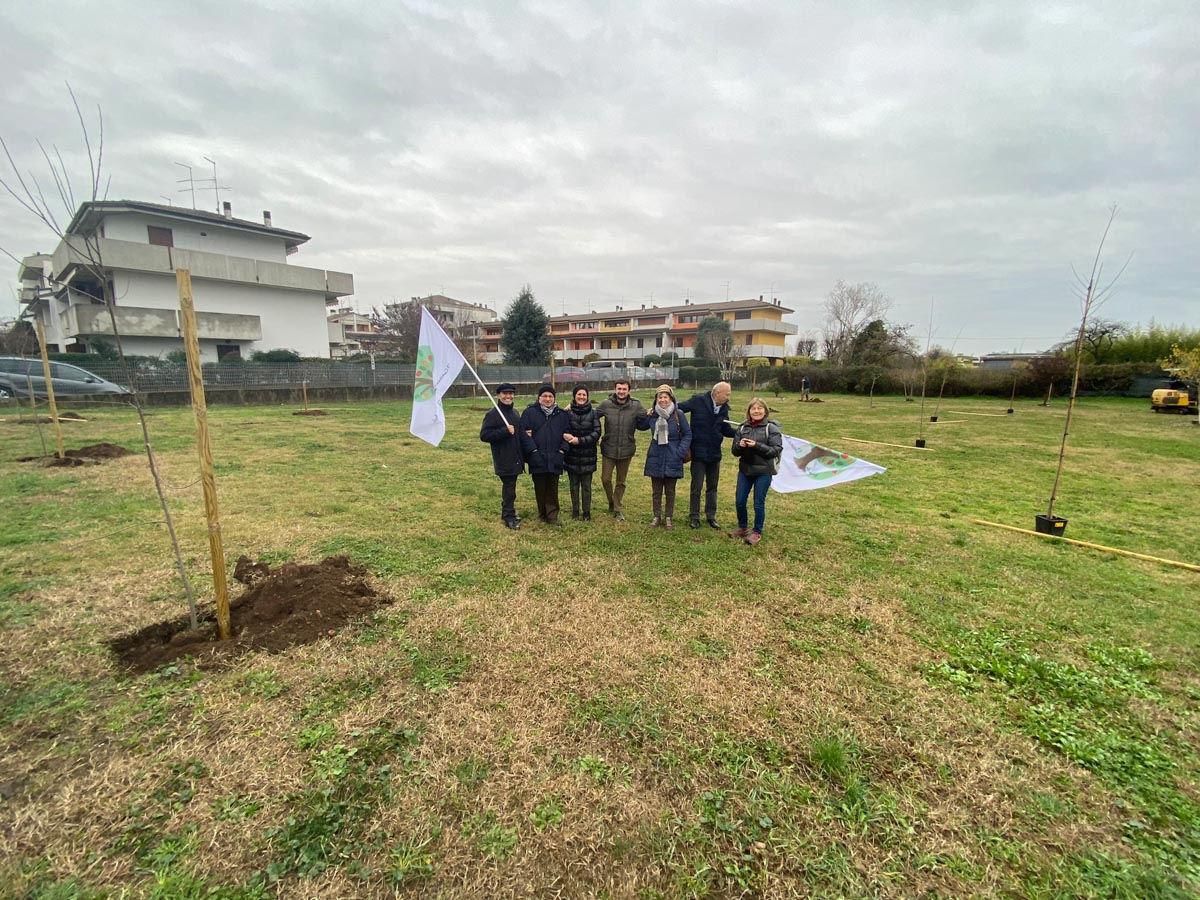 Piante Borgo Roma - Comitato Verona Sud