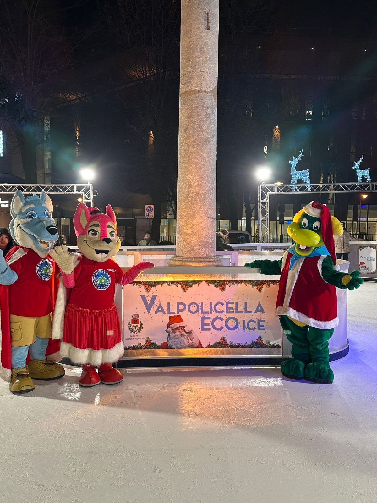 Negrar pista pattinaggio Valpolicella Eco Ice