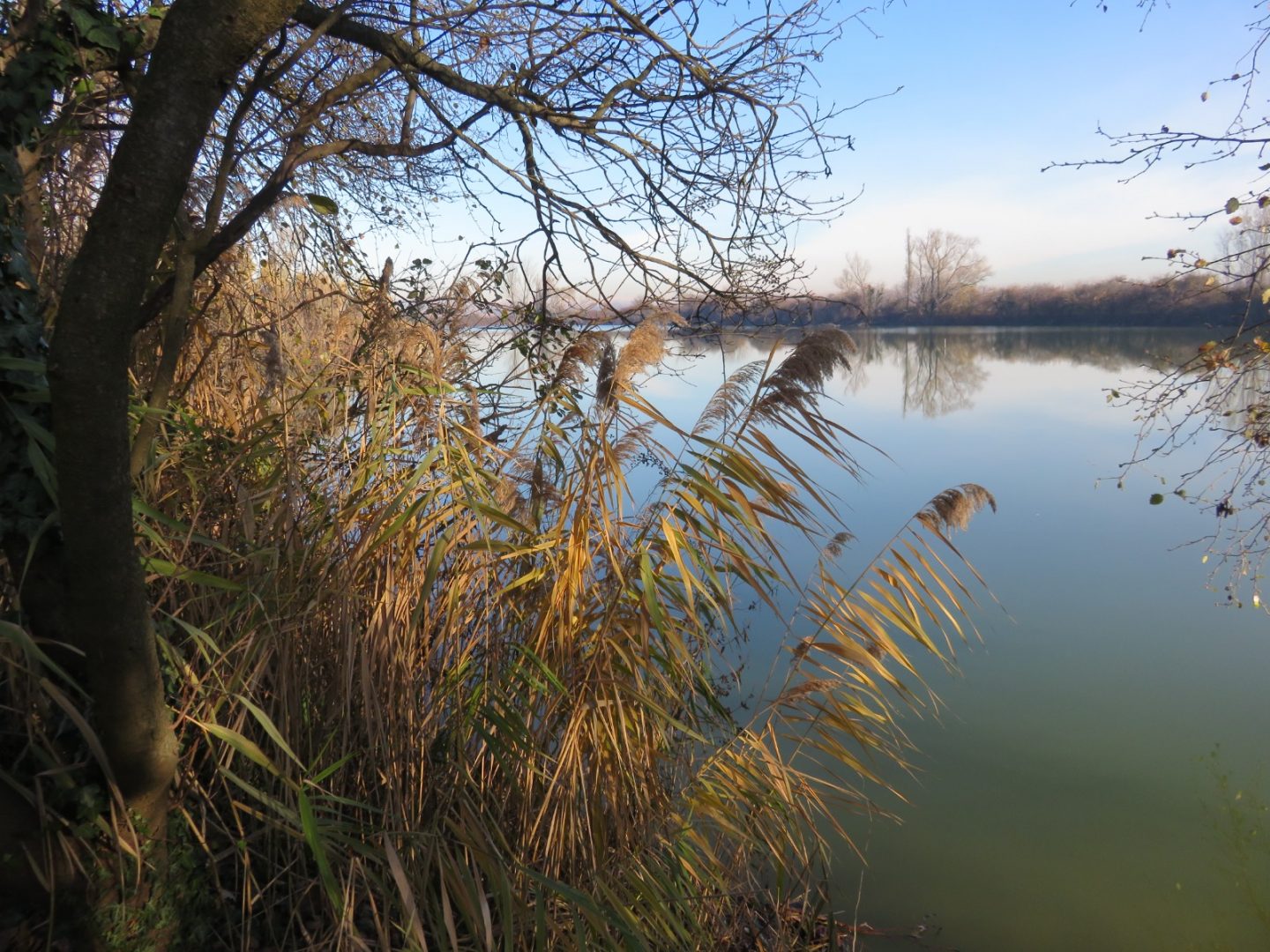 Roverchiara - Cave Pellini
