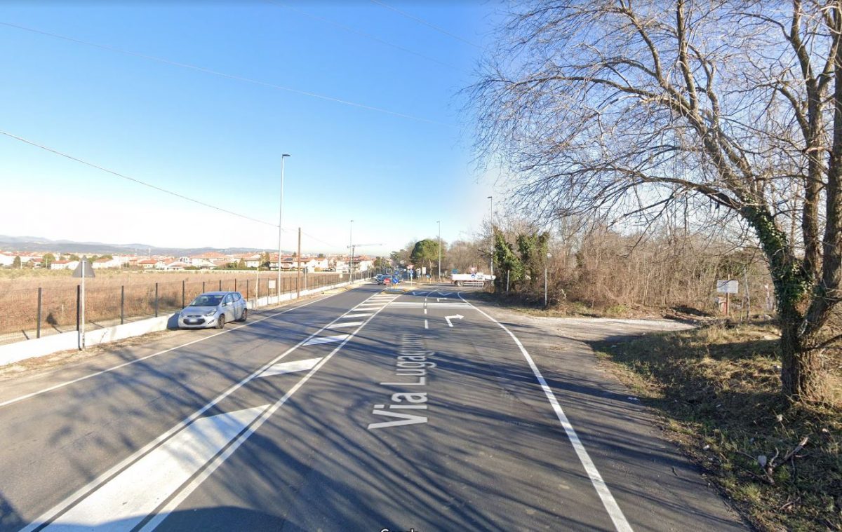 via Lugagnano chiusa recupero animale