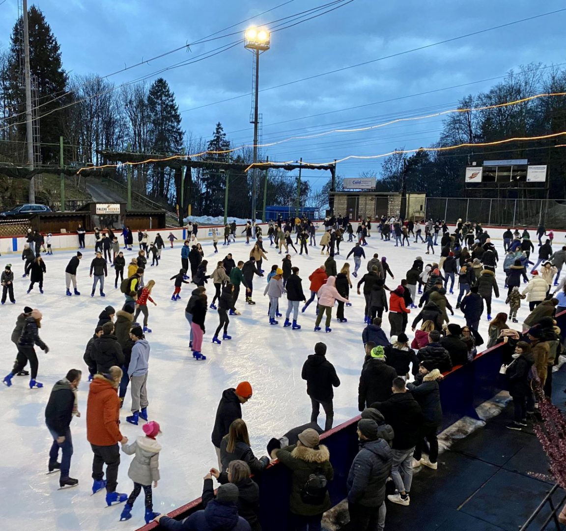 Palaghiaccio Bosco Chiesanuova